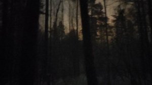 Буря в лесу: некоторые промежуточные итоги нападения США и Израиля на Иран. США не ожидали! Фашизм