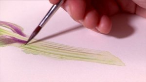 Артишок от БШ ч.2