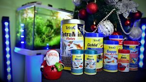 Кормление аквариумных рыбок: как правильно это делать?