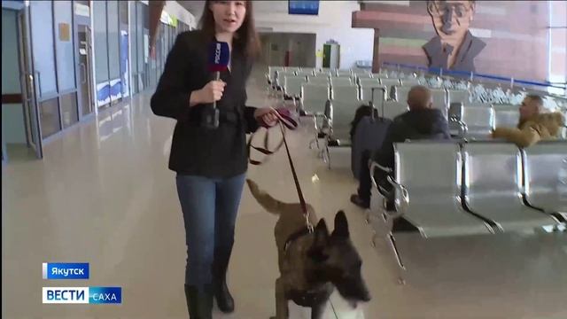 Служба Туйаары Таран