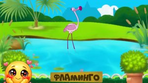 УЧИМ ЖИВОТНЫХ И НАСЕКОМЫХ. РАЗВИВАЮЩИЙ МУЛЬТИК