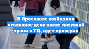 В Ярославле возбудили уголовное дело после массовой драки в ТЦ, идет проверка