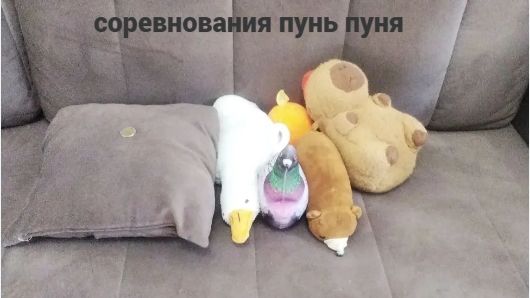 соревнования пунь пуня 1 сезон 3 серия