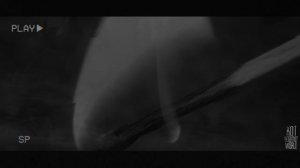 ИСЧЕЗНУВШИЙ ХУТОР.. Страшные истории на ночь 🫣🫣🫣