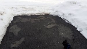 Мишка вышел погулять.