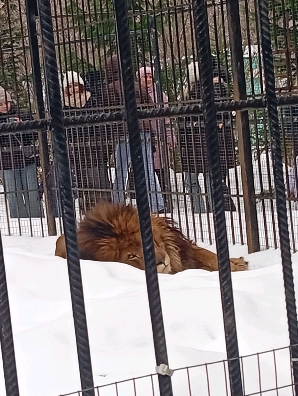 иду в школу объясняю как учусь