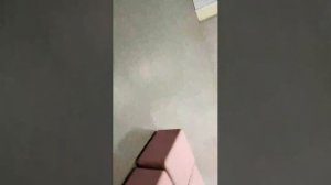 прогуливаю в школе уроки