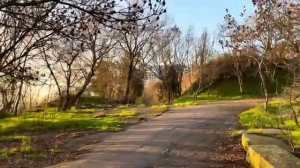 ОДЕССА 10 МАРТА 2026. ДЕКОММУНИЗИРОВАЛИ БУРАТИНО! ЗОЛОТО ТЦК. ЕЩЕ ОДНА В0РОВКА НА ДОНАТАХ!