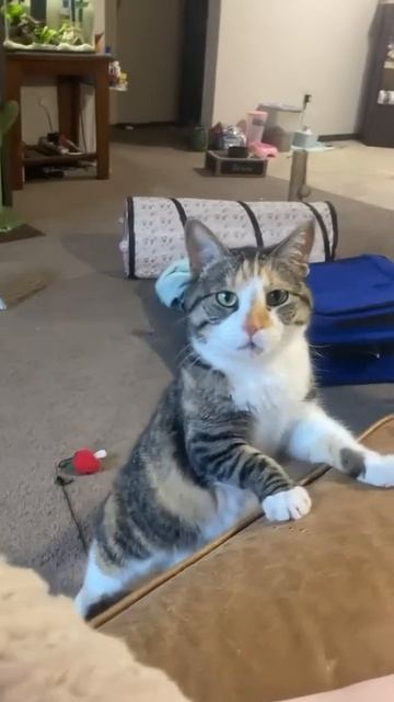 Я требую продолжения банкета!