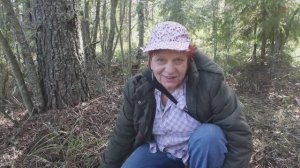 Сыроежка лайковая? Думаем, что да!