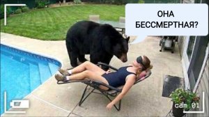 САМЫЕ НЕОБЫЧНЫЕ ШАЛОСТИ ЖИВОТНЫХ