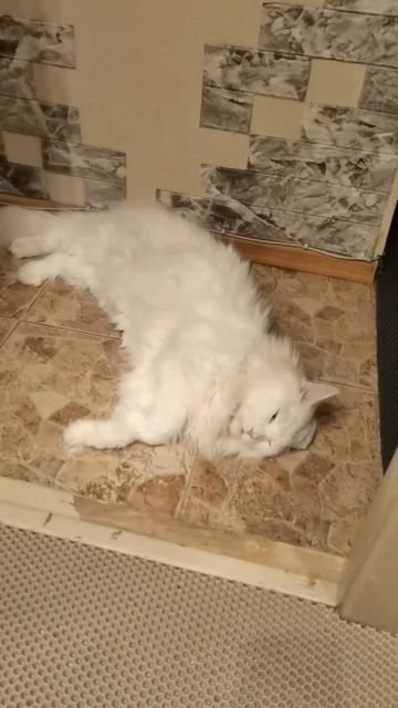 #врек #вреки #врекомендации #питер #Каспер