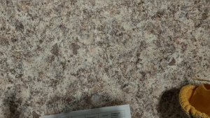 #Сп_Бинго_2026