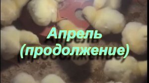 Страницы из 2019г 4ч