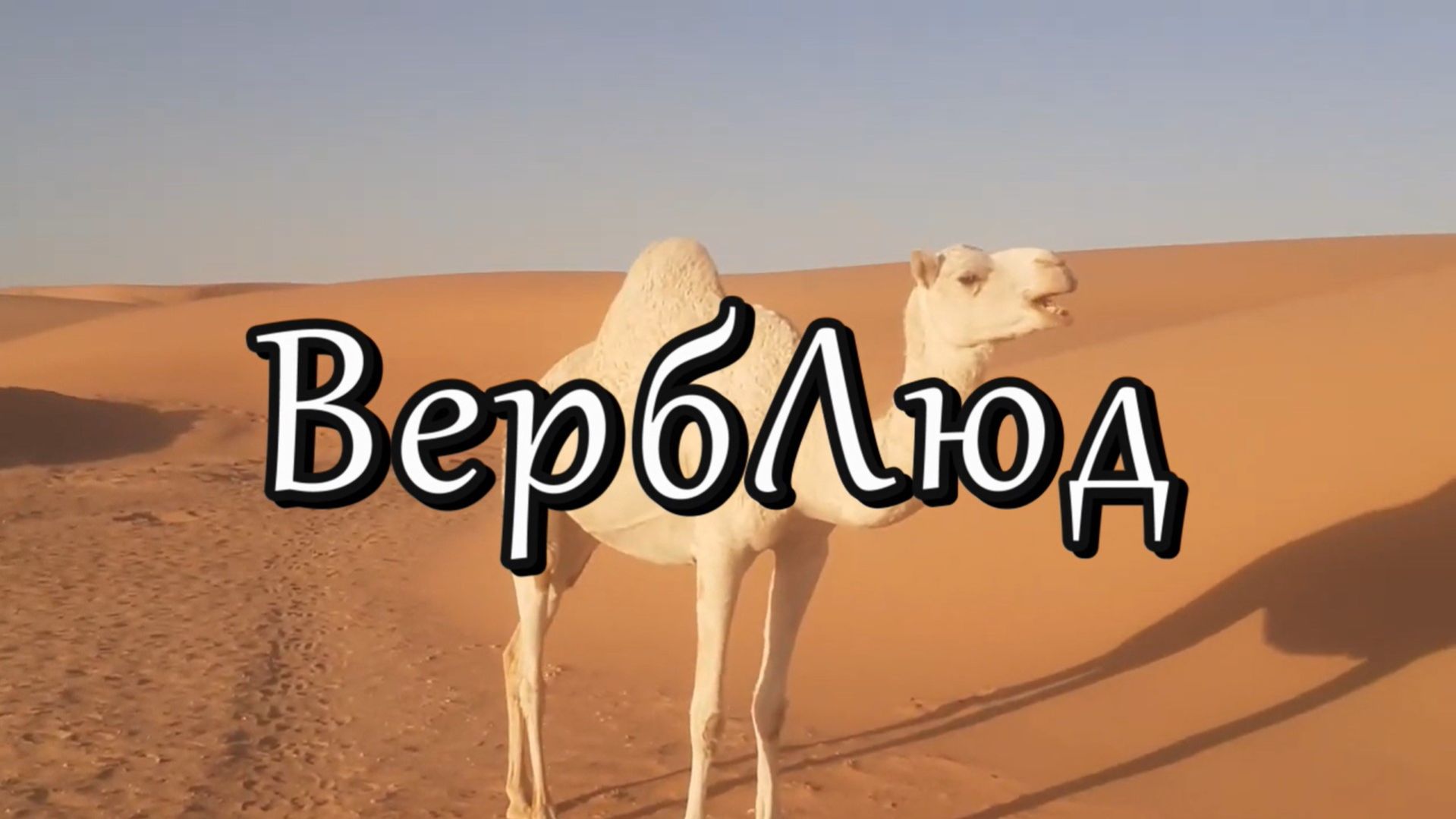 ВербЛюд | Марат Гафуров