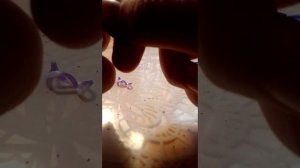 VID_20260226_101344.mp4