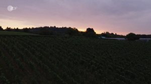 Убийства на берегу 4 серия «Вино и правда» (сериал, 2026)