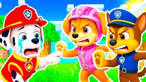 ВСЮ КОМАНДУ ЩЕНЯЧИЙ ПАТРУЛЬ ЗАКОЛДОВАЛИ и УКРАЛИ ДРУЖБУ СКАЙ ГОНЩИК МАРШАЛ РОККИ В МАЙНКРАФТ