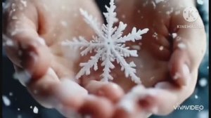 *** ГЛУПЫЕ СНЕЖИНКИ ***