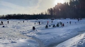 Запускаем форель