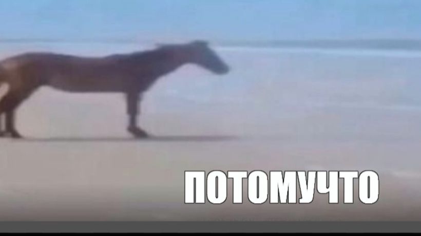 Играю в танки|Tanks Blitz|