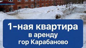 Сдается 1-ная квартира в гор. Карабаново, Александровский район Владимирская обл.