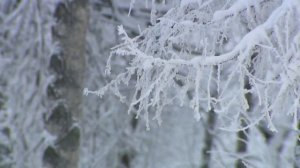 Март 2026-го бьет температурные рекорды