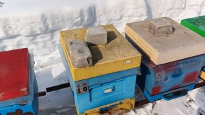 10.03.26. Выход пчел из зимовника!!!
