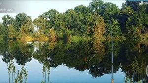 My Fishing World - с озвучкой / #1 / Рыбалка рыбалка и ещё раз рыбалка!