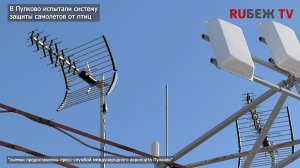 Киргизские сертификаты заблокированы, птиц в Пулково посчитали, дома стали умнее