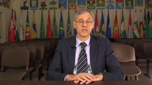 Боевой путь 334-й Витебской стрелковой дивизии