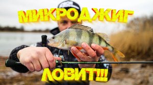 ВЕСЕННИЙ МИКРОДЖИГ 👍 Раздача ОКУНЯ на реке 💪 ВЫВОДЫ по спиннингу Hearty Rise Laquiendi 👍