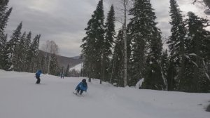 Врезался в дерево на горных лыжах. Катаемся аккуратней! Шерегеш
