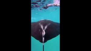 Острова Расду и Тодду зимой 2026