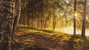 Я пришел к тебе с приветом...