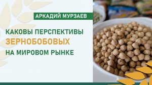 Готовый продукт продавать легче: каковы перспективы зернобобовых на мировом рынке