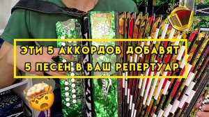 5 простых аккордов добавят 5 новых песен в ваш репертуар #купитьгармонь #гармошка #шуйскаягармонь