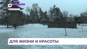 В Арсеньеве продолжаются публичные слушания по выбору территорий для благоустройства