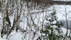 Благоустройство Кореневского карьера завершат в 2027 году