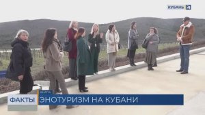 Миллион человек посетили в 2025 году винодельни Краснодарского края