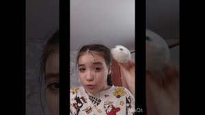 тутор на тюленя из носков! подпишись | #поделака | 600 | тюлень | подпишись | В ОПИСАНИЕ!!!