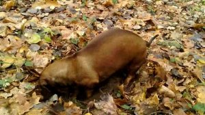 097 2018.10.28_12.48.30