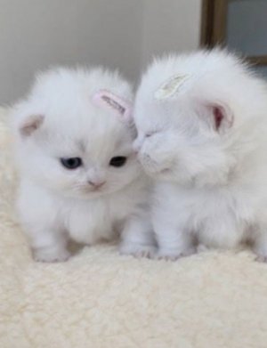 благодарю за 26 подписчиков и 104 просмотра