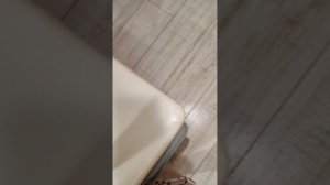 ЕДЕМ В КАЛУГУ С БАСИКАМИ? 😱😱