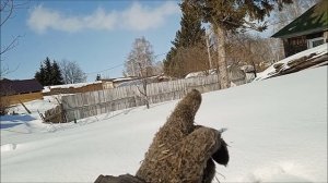 Десятый день весны