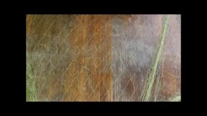 Как разрезать сеть