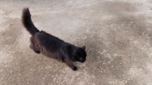 Весенние работы