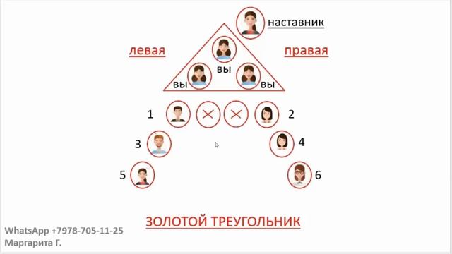 Правильныи бинар и золотои треугольник Гринлиф