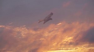 "Стихи и ноты". 
Благовестник...