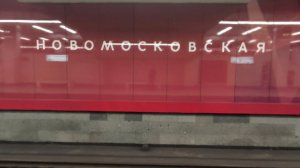 Станция Новомосковская .
